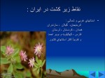 دانلود پروژه پاورپوینت شبدر ایرانی با 19 اسلاید برای رشته کشاورزی-1