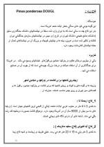 دانلود گزارش کاراموزی کاج های مناسب کشت در استان تهران 23 صفحه word-1