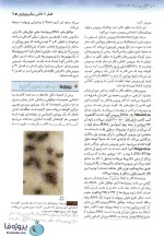 دانلود Pdf کتاب میکروب شناسی پزشکی جاوتز 2019 ترجمه فارسی جلد اول ویرایش 28-1