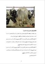 دانلود پروژه کارآفرینی پرورش گاو به روش های صنعتی با 14 صفحه word-1