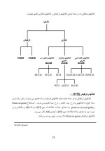 دانلود گزارش کارآموزی کامپیوتر در شرکت مخابرات استان گلستان رشته کامپیوتر با 53 صفحه word-1