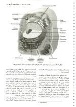 دانلود کتاب فیزیولوژی پزشکی گایتون هال 2011 جلد 1 ترجمه فارسی با 655 صفحه pdf-1