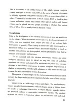 دانلود کتاب انگلیسی برای دانشجویان زیست شناسی دکتر حسین فرهادی English for the students of Biology با 172 صفحه pdf-1