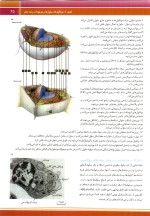 دانلود کتاب زیست شناسی سلولی و مولکولی 1 لودیش 2016 با ترجمه فارسی 758 صفحه pdf-1