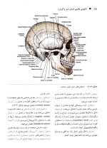 دانلود کتاب آناتومی بالینی اسنل سر و گردن ترجمه فارسی با 236 صفحه pdf-1