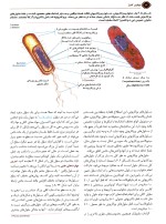 دانلود کتاب بیولوژی کمپبل 2021 جلد دوم ترجمه فارسی با 206 صفحه pdf-1