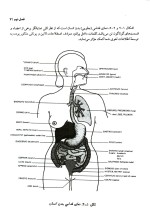 دانلود کتاب فرهنگ اصطلاحات پزشکی انگلیسی به فارسی با 244 صفحه pdf-1